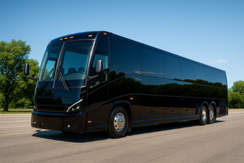 Janesville Ada Buses